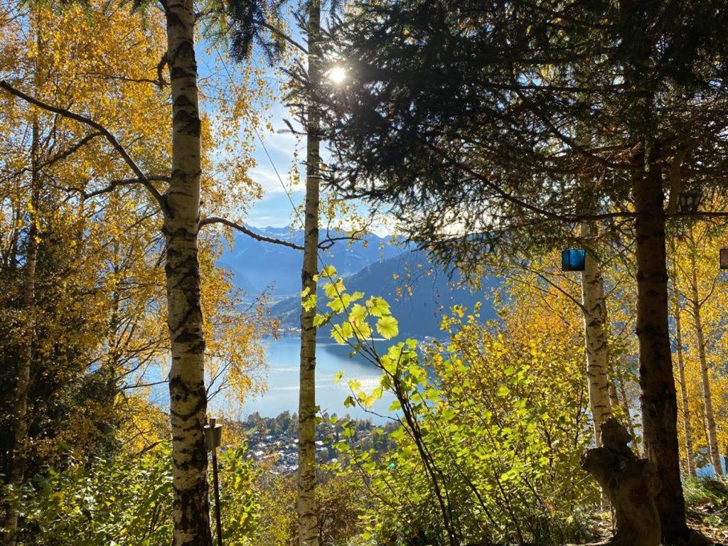 Harrer * Zell am See